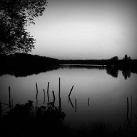 /album/mangostanpartner/photolia-b01-jpg/